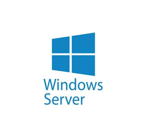 Windows Server (2022/2025)
